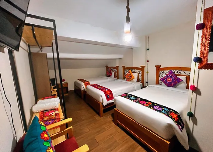 Affittacamere Ecoterra Plaza 3*